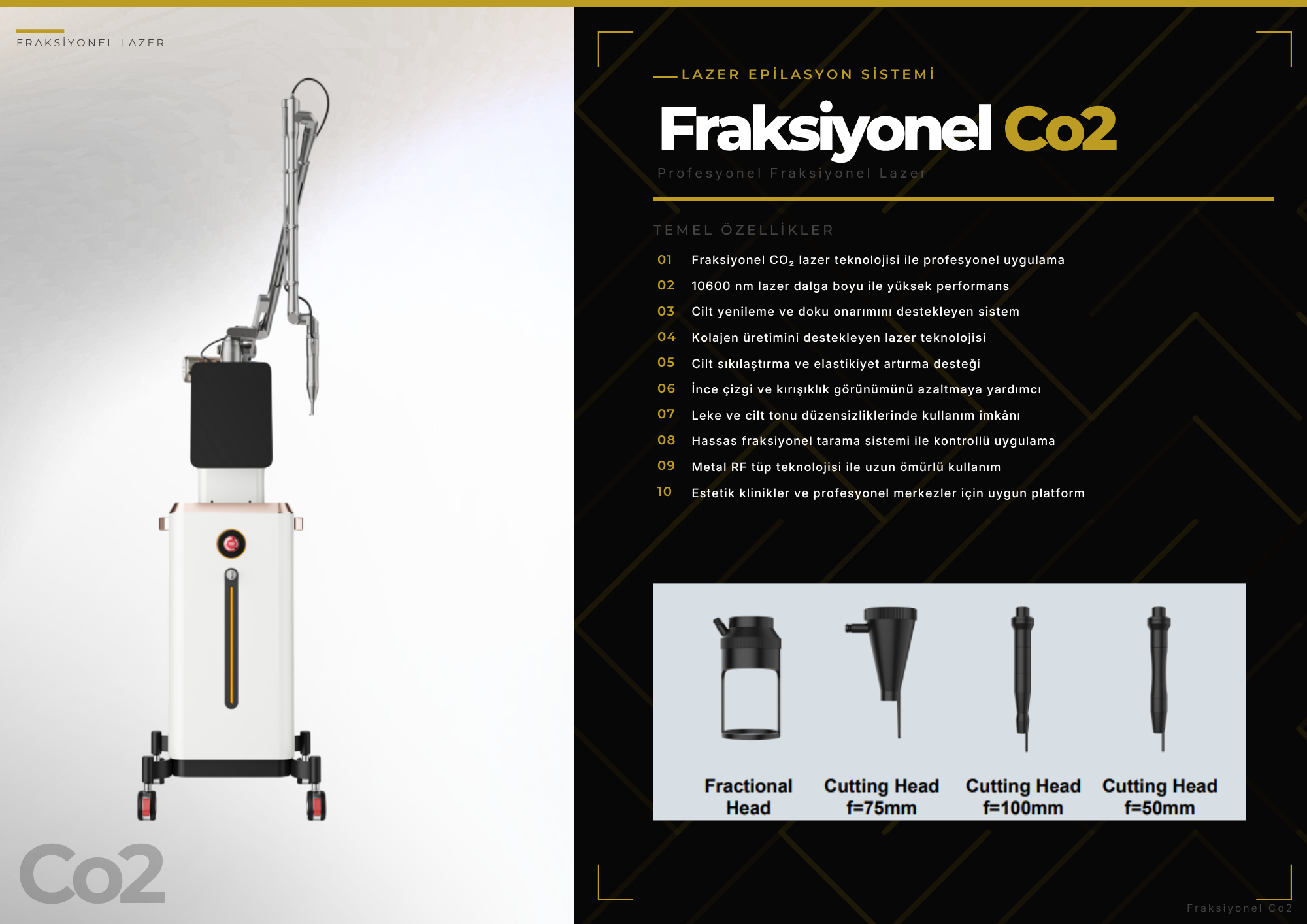Fraksiyonel Co2