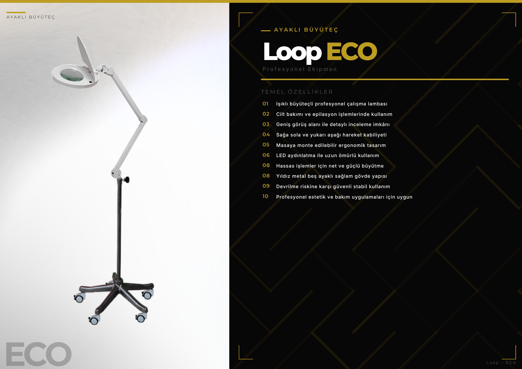 Loop ECO